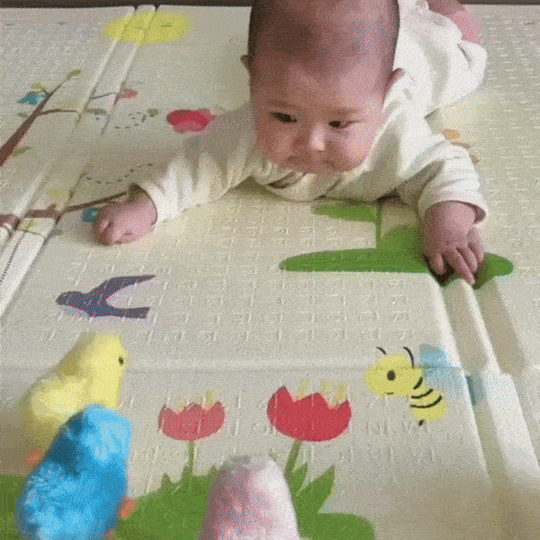 צעצוע אפרוח קופץ מפרווה – תמונת מוצר